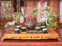 Bộ ly uống trà đẹp bát tràng tử sa