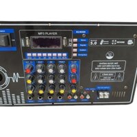 Bo mạch loa kéo công xuất lớn 40 đôi V315