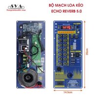 BỘ MẠCH LOA KÉO ECHO REVERB 5.0 DSP V20X 200W - 14,5X35CM - MẪU ĐỨNG