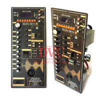 Bộ Mạch Loa Kéo Reverb DSP20 200w – 14,5X35CM – Mẫu Đứng