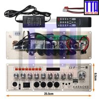 Bộ mạch loa kéo reverb mini - mạch loa xách tay mini 1 kênh - 80W - V8-HL