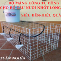 Bộ Máng Uống Nước Tự Động Cho Chim Bồ Câu Đầy Đủ Hiệu Quả Nhất.