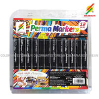 Bộ Màu Vẽ Bút Lông Kim Perma Marker 12 cây