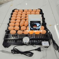 Bộ máy ấp trứng cacbon gắn led kèm khay đảo trứng tự động cho gà vịt ngan ngỗng