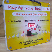 Bộ máy ấp trứng Tuấn Trình, ấp gà vịt ngan ngỗng, nở trên 90%