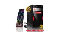 Bộ Máy T-WOLF H110R8SM256i5-6600 (Intel® i5-6600 | H110 | Ram 8GB | SSD 256GB | PSU 350W Plus)