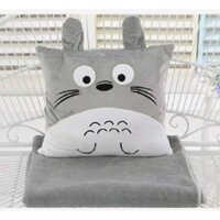 Bộ mền gối văn phòng