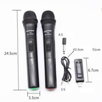 Bộ mic không dây ZANSONG V20 cho Loa dàn, Loa kéo, card thu âm live stream