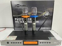 Bộ micro không dây cao cấp BM Audio KTV 360