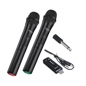 Bộ Micro không dây ZANSONG V20