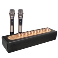 Bộ Micro Vang số chỉnh cơ Acnos Mi30s và Mi30U Pro Hàng chính hãng Bảo Hành 12 Tháng