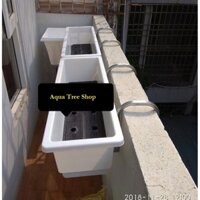 Bộ móc treo và chậu trồng cây treo tường dày 13-15cm