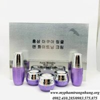 BỘ MỸ PHẨM AQUA WRINKLE TRỊ NÁM TÀN NHANG, DƯỠNG TRẮNG DA HÀN QUỐC