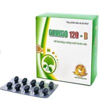 Bổ não Ginkgo 120 B Trường Thọ (H/100v)