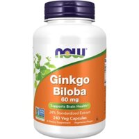 Bổ não Now Ginkgo Biloba 60mg 240v