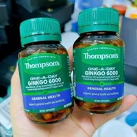 BỔ NÃO THOMPSON GINKGO 6000