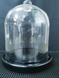 BỘ NẮP CHỤP PLATE COVER THỦY TINH + ĐĨA GỖ LỚN