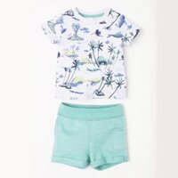 bộ next cá voi xanh