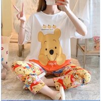 Bộ ngủ nữ áo cộc tay quần dài kute các mẫu freesize