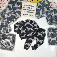 Bộ ngựa vằn Next