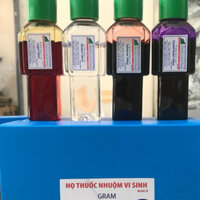 BỘ NHUỘM GRAM 100 ML