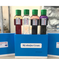 Bộ nhuộm gram (lugol 1%+ Fucsin + DD tím gentian)chai 100ml Nam Khoa