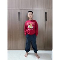 Bộ nỉ capy bara áo đỏ mận quần xám thun nỉ mỏng nhẹ