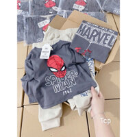 Bộ nỉ hình SPIDERMAN xám quần be cho bé trai