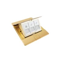 Bộ ổ cắm âm sàn gồm ổ cắm mạng Cat6 và 2 điện thoại màu vàng Đồng Simon SEF3844