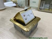 Bộ ổ cắm âm sàn SINOAMIGO SPU1B lắp (1 điện +2 mạng) màu vàng cao cấp