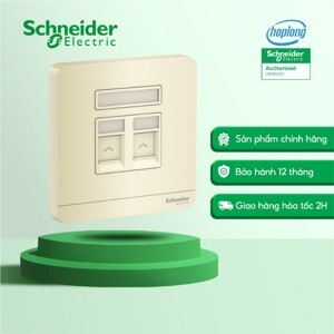 Bộ ổ cắm mạng Cat6 đôi AvatarON Schneider E8332RJS6_WG_G19