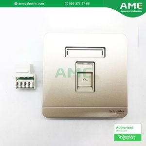 Bộ ổ cắm mạng đơn Cat6 Schneider E8331RJS6_WG