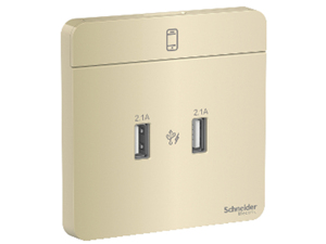 Bộ ổ sạc USB đôi Schneider AvatarON E8332USB_WG_G19