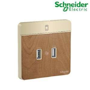 Bộ ổ sạc USB đôi Schneider AvatarON E8332USB_WD_G19