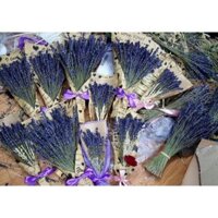 Bó oải hương 150 cành