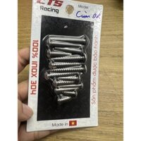 Bộ ốc bắt cùm công tắc, bắt đầu xe Dream Inox 304 CTS-14 con