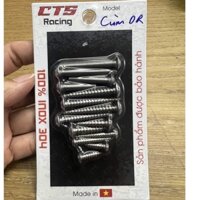 Bộ ốc cùm công tắc,đầu xe Dream ( 14 con )