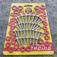 Bộ Ốc Dàn áo Salaya Mẫu S3 Lắp Cho Dòng Xe Ex10 (Tặng Kèm Long Đền Nhôm)