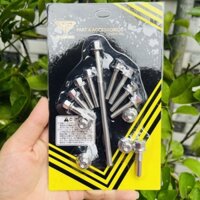 Bộ ốc đầu bò xe Dream - Fuled