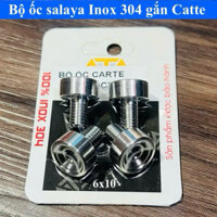 Bộ ốc inox 304 CNC 6li10 gắn carte che sên Wave Dream Future hiệu CTS ( bộ 4 con )