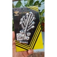 Bộ ốc inox 304 Salaya 14 chi tiết lắp đầu lòng các dòng xe Wave Dream bộ ốc đầu bò Wave Dream