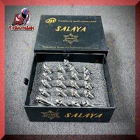 bộ ốc lốc máy salaya exciter 150 21 con
