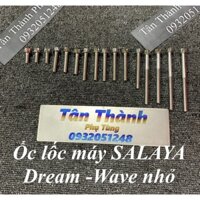 Bộ ốc lốc máy SALAYA Wave nhỏ -Dream - 16 con