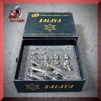 Bộ Ốc Lốc Máy Salaya Wave Rs 14 Con MS808