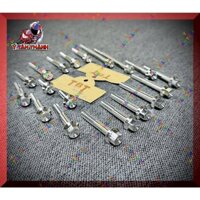 Bộ ốc lốc máy TBT V2 sirius 110 MS 53