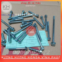 Bộ ốc lốc máy xe dream wave zin 27 chi tiết / phụ tùng xe máy)