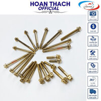 Bộ Ốc Lốc Xi Mạ Vàng Dream Và Wave ( 23 Con ) Hoanthachstore