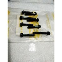 Bộ ốc máy bên nồi/bên mâm lửa cho Suzuki Viva 110 số vòng màu xanh rêu