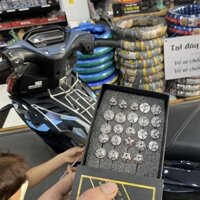 Bộ ốc Salaya Dàn áo cho xe Winner 150 (070777)