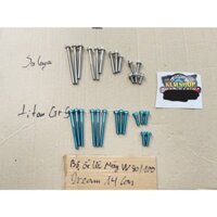 Bộ Ốc Titan, Salaya 14 Con Gắn Lốc Máy Wave 50/100/Wave Nhỏ/Dream